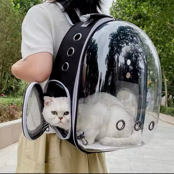 white cat in black pet carrier backpack