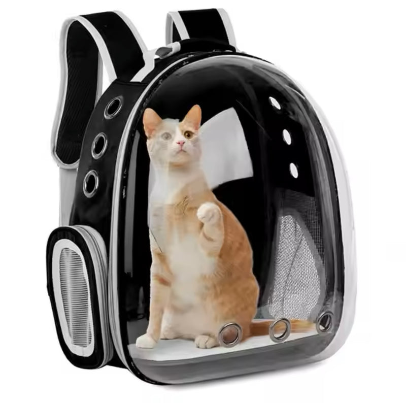 orange cat in black pet carrier backpack